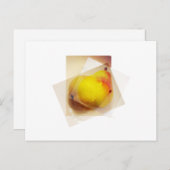 PEARS BRIEFKAART (Voorkant / Achterkant)