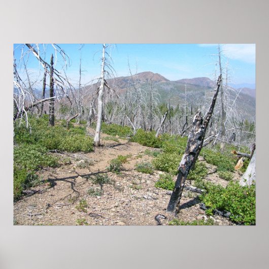 Pearsoll Peak Fire Lookout Kalmiopsis Wilderness Poster (Voorkant)