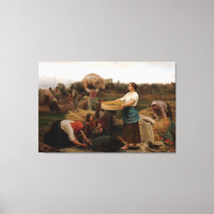 Peasers die Rapeseed_GC Canvas afdrukken
