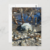 Pebble Beach 2 Briefkaart (Voorkant / Achterkant)