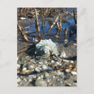 Pebble Beach 2 Briefkaart