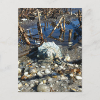 Pebble Beach 2 Briefkaart