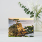 Pebble Beach, Californië Briefkaart (Staand voorkant)