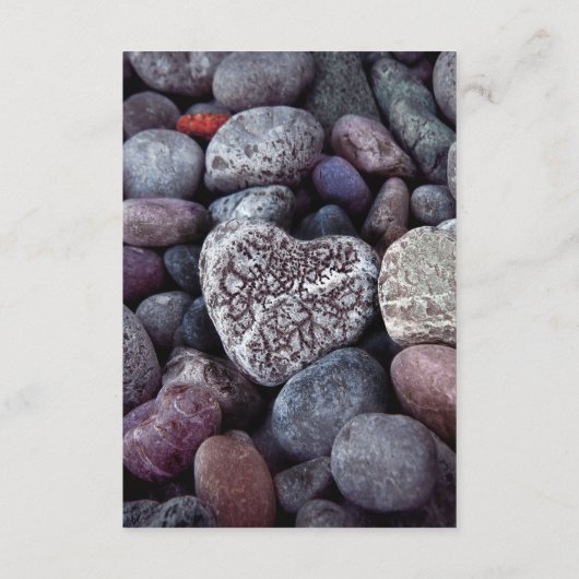 Pebble Heart Discovery Gast Informatie Details Informatiekaartje (Achterkant)