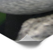 Pebble Poster (Hoek)