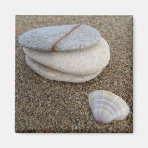 Pebble Shell Magnet Magneet