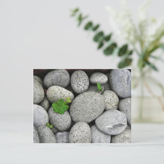 Pebbles Briefkaart (Staand voorkant)