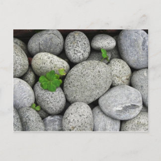Pebbles Briefkaart