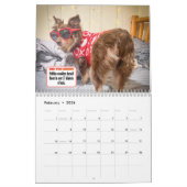 Pebbles' Calendar Kalender (Feb 2026)