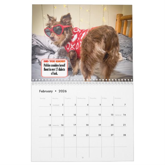 Pebbles' Calendar Kalender (Feb 2026)