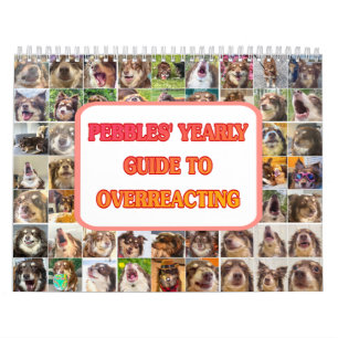 Pebbles' Kalender
