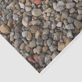 Pebbles op het papier van het strand (Detail)