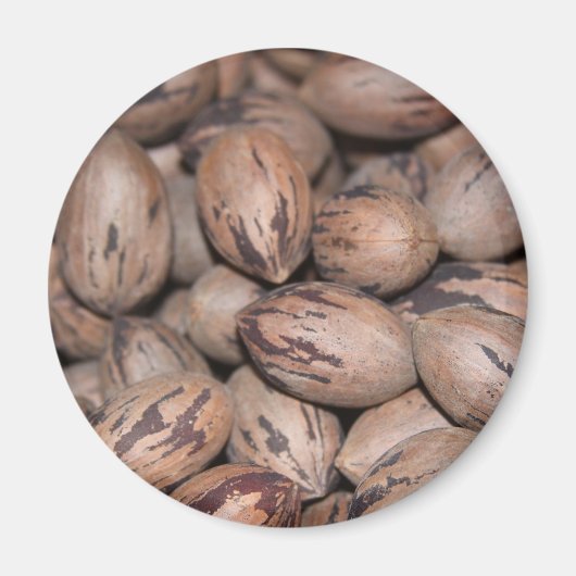 Pecan Magnet Magneet (Voorkant)