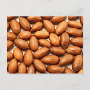 Pecannoten Briefkaart