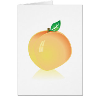 Pêche