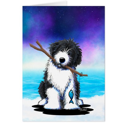 Pêche à la collie (Devant)
