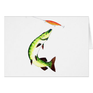 Pêche au brochet et pêche à la mouche