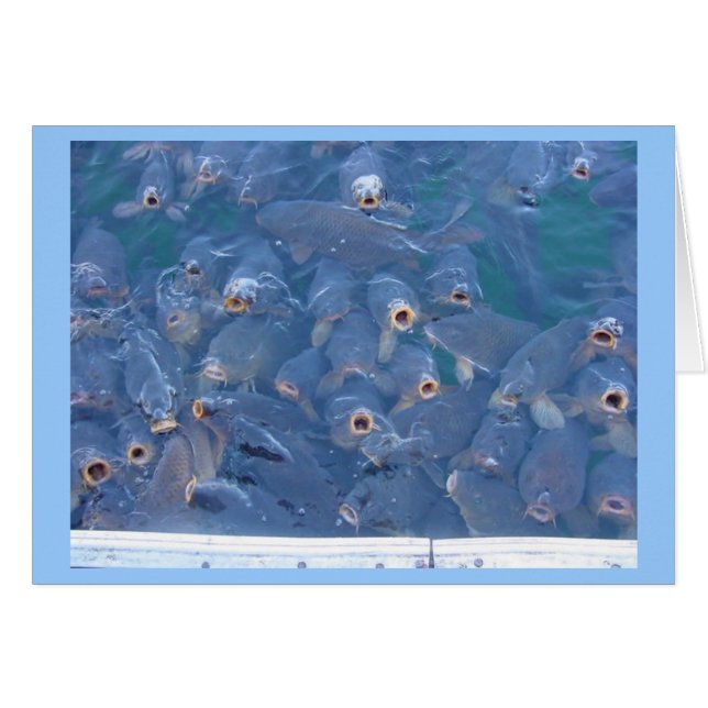 Pêche du Lake Mead (Devant horizontal)