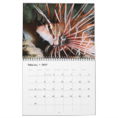 Pêche du récif de la mer Rouge 2 Calendrier (Feb 2027)