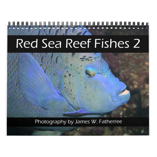 Pêche du récif de la mer Rouge 2 Calendrier (Protection)