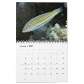 Pêche du récif de la mer Rouge 2 Calendrier (Jan 2027)