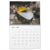 Pêche du récif de la mer Rouge 2 Calendrier (Mar 2027)