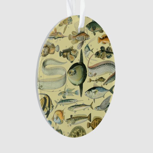 Pêche scientifique vintage (devant)