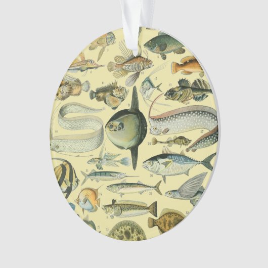 Pêche scientifique vintage (devant)