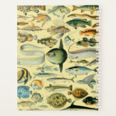 Pêche scientifique vintage (Dos)