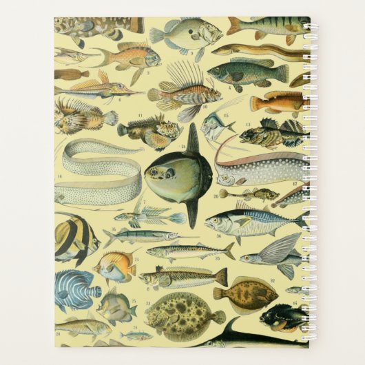 Pêche scientifique vintage (Dos)