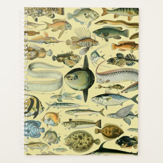 Pêche scientifique vintage (Devant)