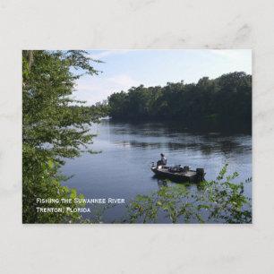 Pêcher la carte postale Suwannee
