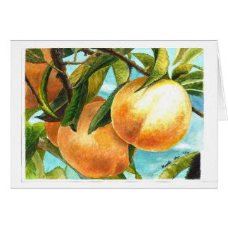 Pêches prêtes à être plumé