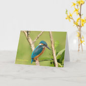 Pêcheur commun pour la carte Get Well (Fleur jaune)