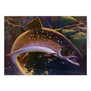 Pêcheur de truite vintage, Pêche sportive