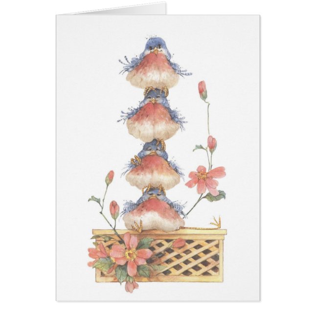 Pecking Order - Card (Voorkant)