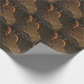 Peckoltia Compta Cadeaupapier (Hoek)
