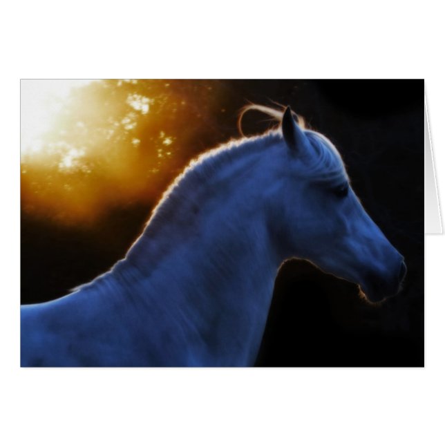 Pecos in het licht van de avond (Voorkant Horizontaal)