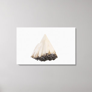 Pectolitekristallen, New Jersey, Verenigde Staten Canvas Afdruk