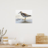 Pectoral Sandpiper Bird Art Print Poster (Keuken)