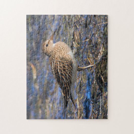Pectorale Sandpiper op het strand Legpuzzel (Verticaal)