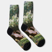 Peder Severin Kroyer - Rozen Sokken (Rechts)