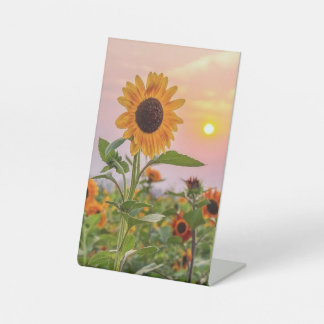 Pedestal Sign Reclamebord Met Voetstuk