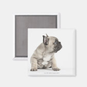 Pedigree puppy magneet (Voorkant / Achterkant)