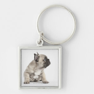Pedigree puppy sleutelhanger
