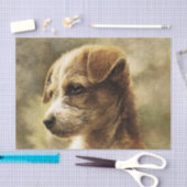  pedofielenfotopapier tissuepapier (Craft)