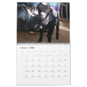 Pedro 2009 Calender Kalender (Jan 2026)