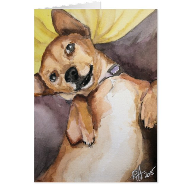 Pedro de Chiweenie (Voorkant)