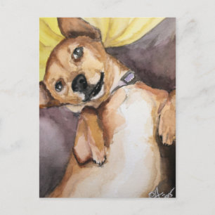 Pedro de Chiweenie Briefkaart