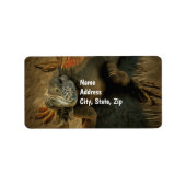 Pedro Iguana 0768 Adres Etiket (Voorkant)